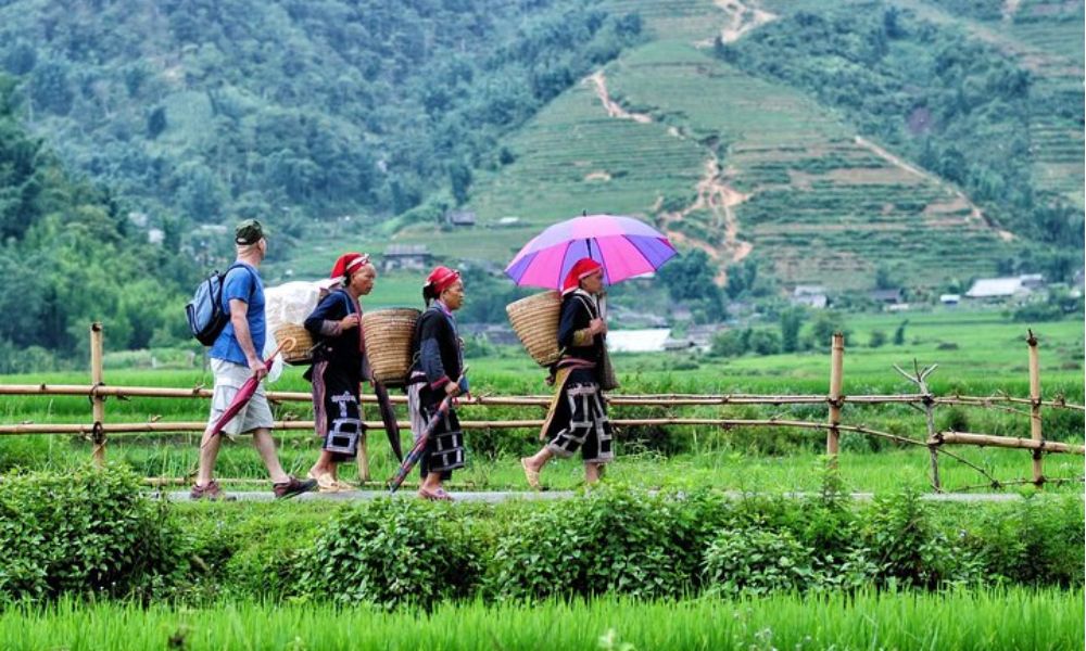 Sapa Vietnam